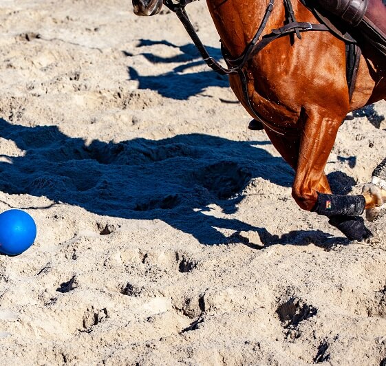 Julius Bär Beach Polo