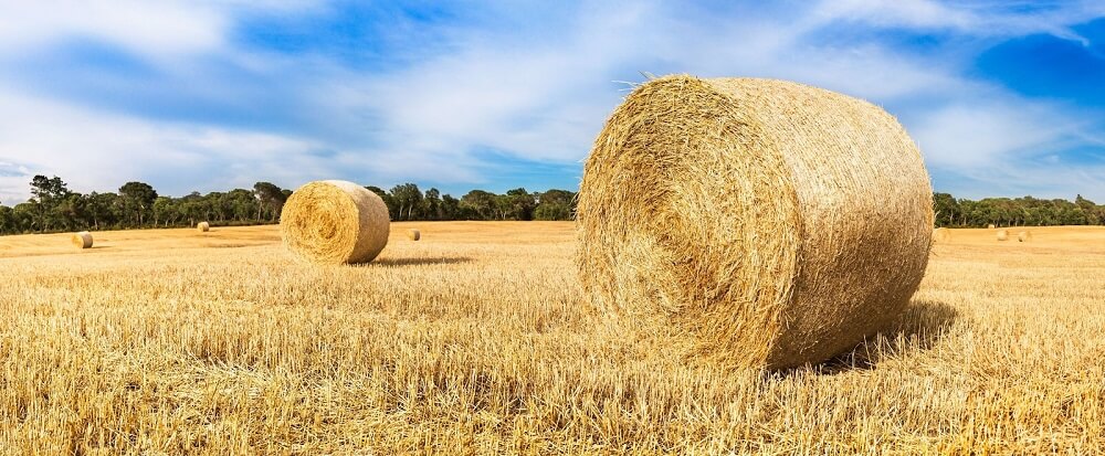 Strohballen auf dem Feld