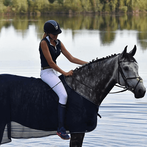 Pferd baden abkühlen im See Pferd baden abkühlen im See