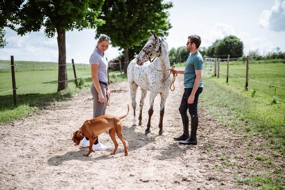 Frau und Mann mit Pferd und Hund