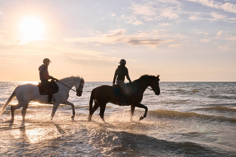 Zwei Reiter reiten im See