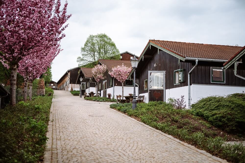 Reitstall mit blühenden Bäumen