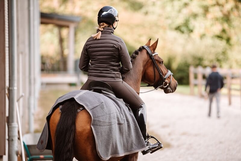 Ausreitdecke Ausreitdecke Pferd