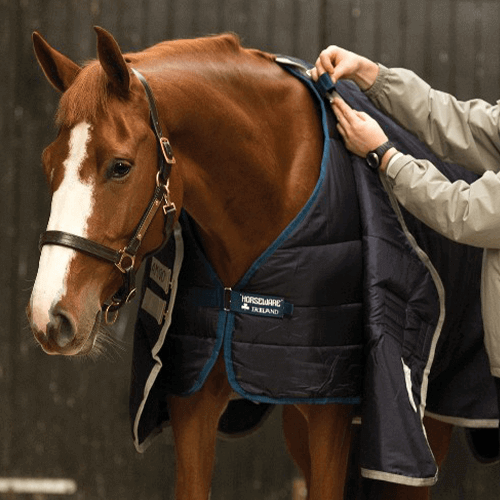 Unterdecke Pferd Horseware