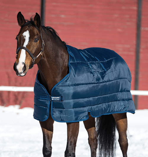 Winterdecke Unterdecke Pferd Horseware