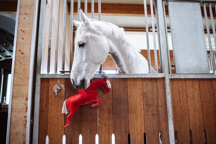 Geschenk-Pferdespielzeug Pferd mit Fundis Horse Toy