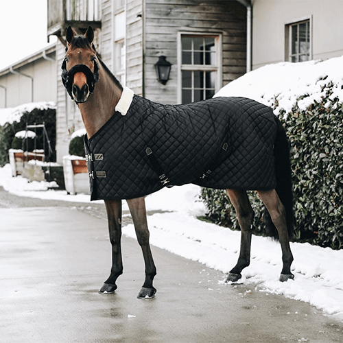 Stalldecke Kentucky