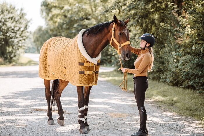 Reiterin mit Pferd in orangenem Outfit