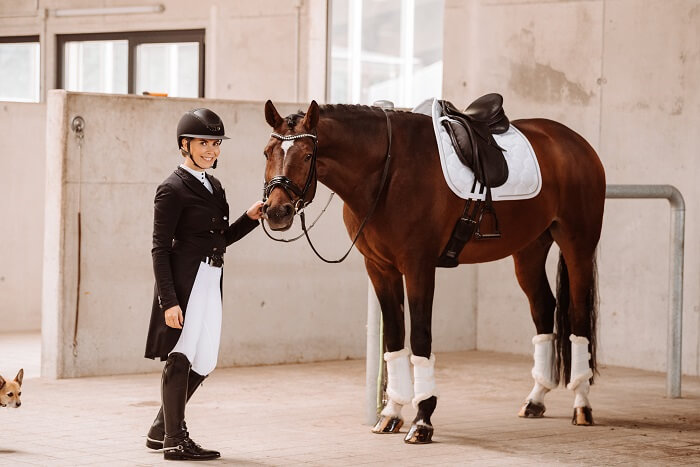 Reiterin mit Pferd im Turnieroutfit