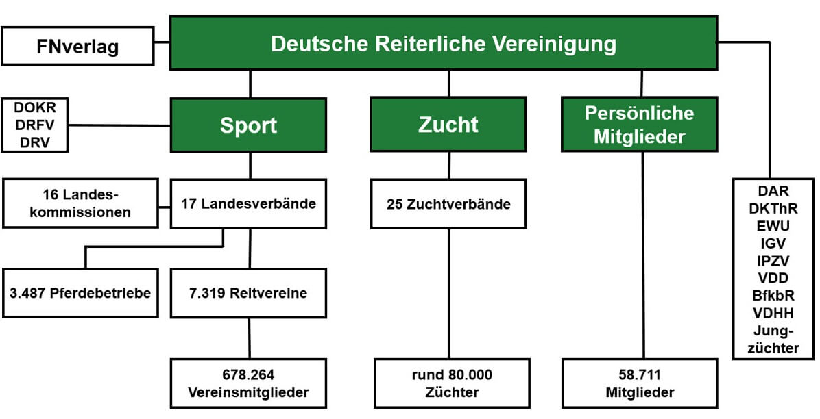 Organigramm_Deutsche_Reiterliche_Vereinigung_2021