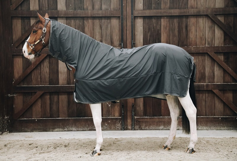 Pferd mit Regendecke