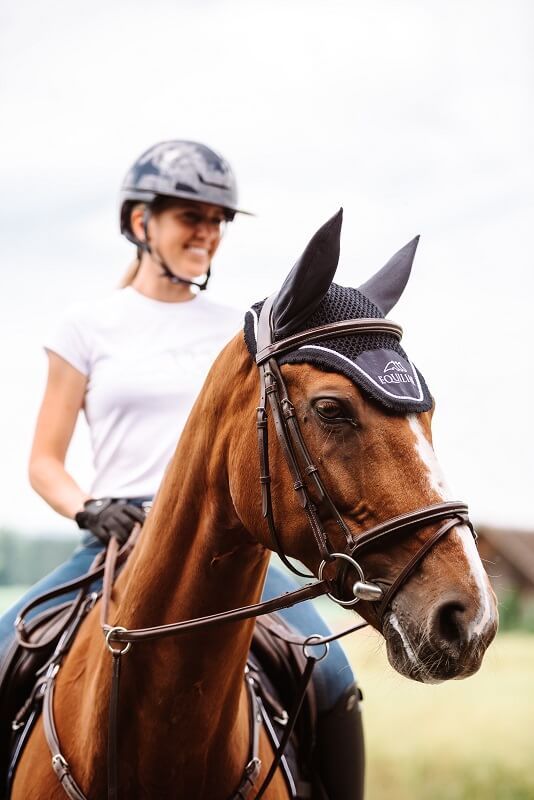 Pferd mit Trense und Fliegenmütze