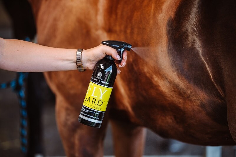 Pferd wird mit Fliegenspray eingesprüht