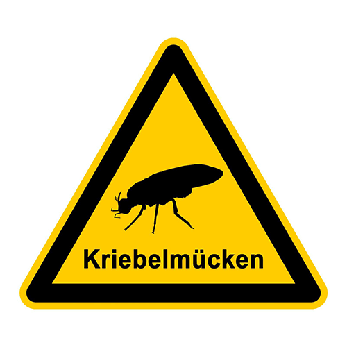 Kriebelmücken Pferd