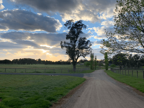 Australien Reitsport Reitstall Australien
