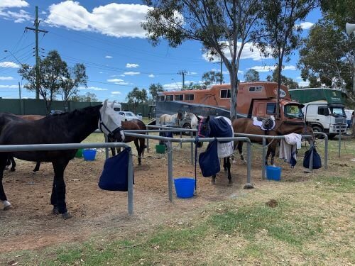 Turnierplatz Reiten Australien