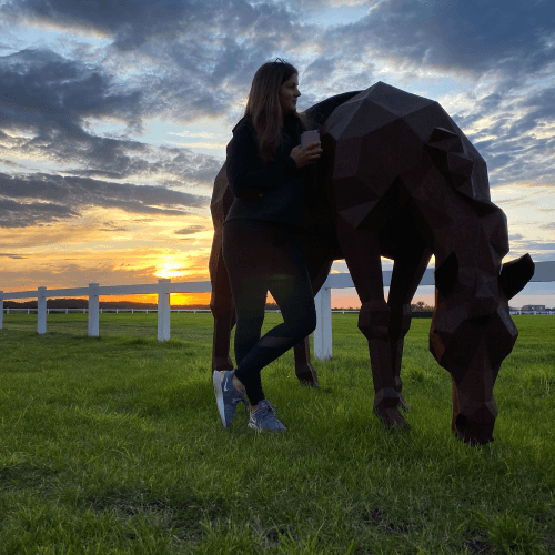 Statue Australien Pferd