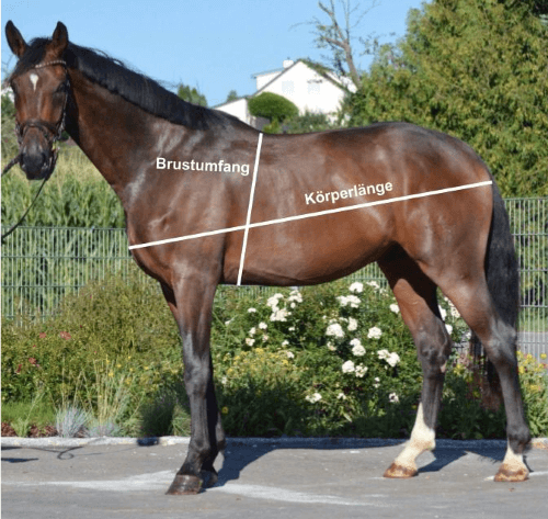 Wurmkur Pferd Menge berechnen