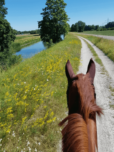 Ausritt-mit-Pferd