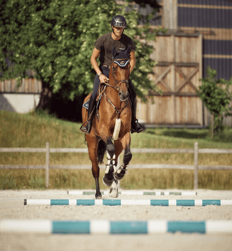 Galoppstangen-Reiten Pferd galoppiert über Stangen