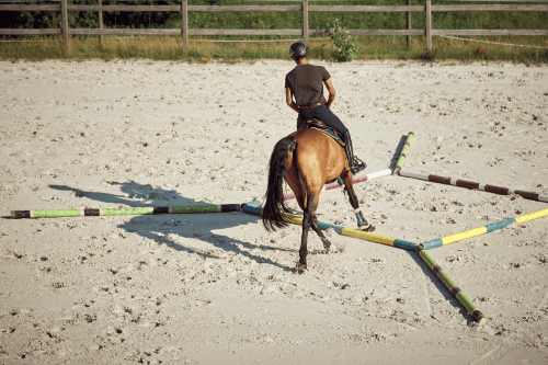 Reiter macht Stangenarbeit