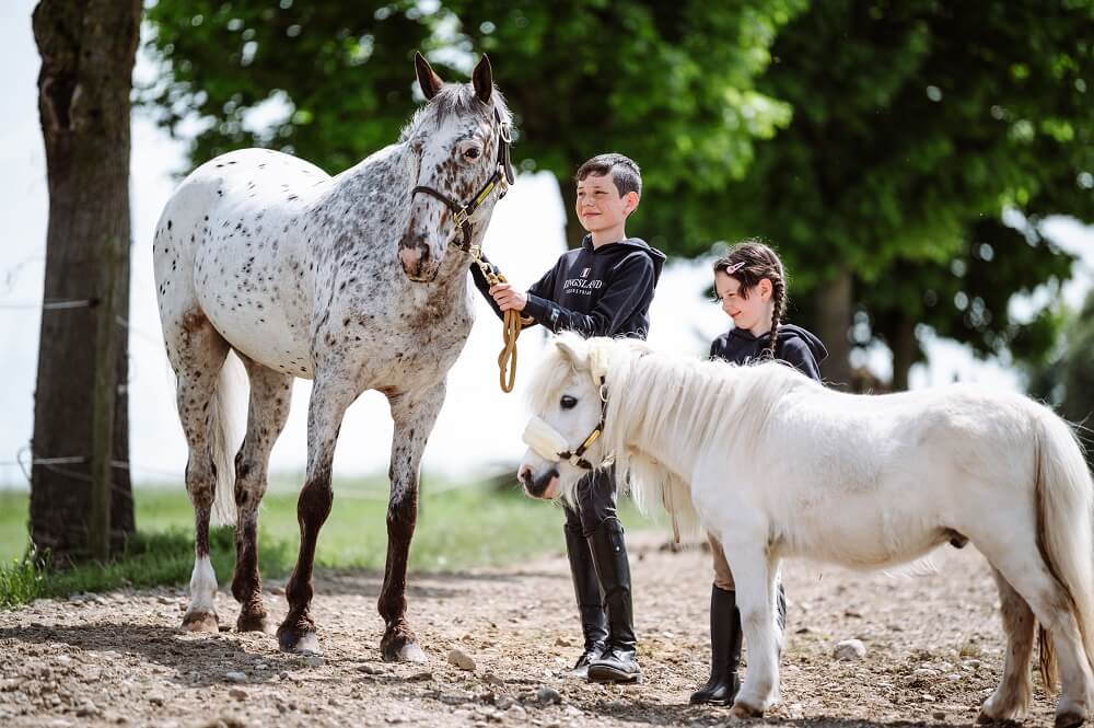 Junge und Mädchen mit Ponys