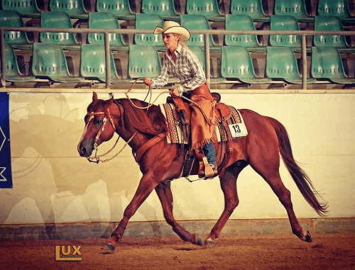 Frau reitet auf Quarter-Horse