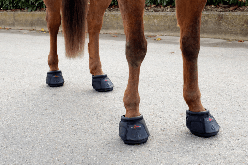 Pferd mit Hufschuhe von Covalliero