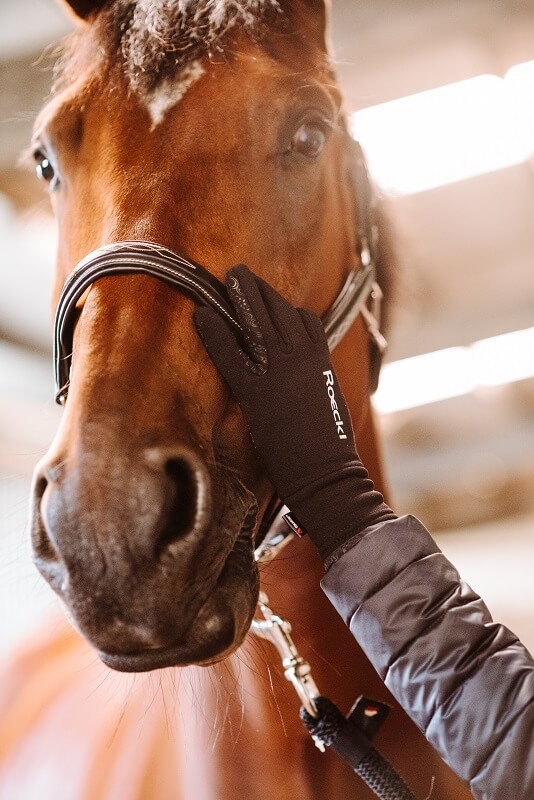 Reiten Handschuhe Frau streichelt Pferd am Kopf