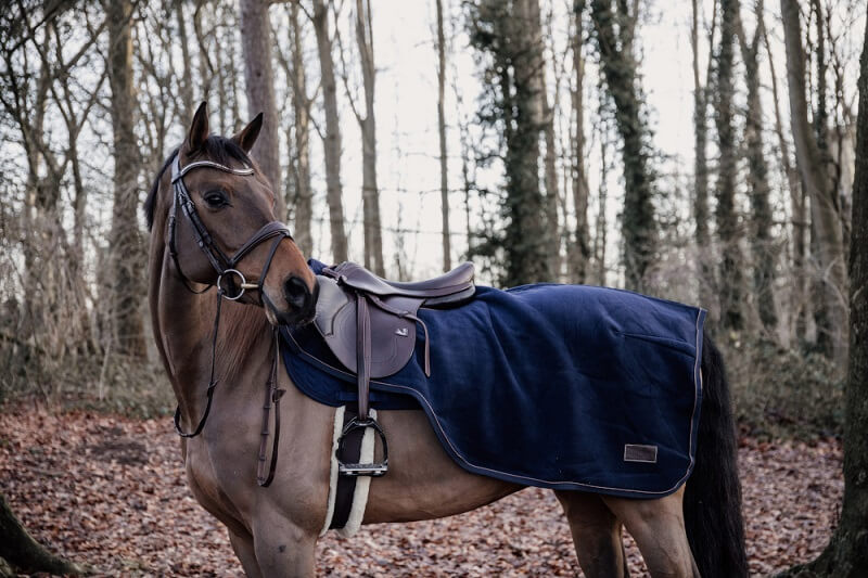 Pferd mit Kentucky Ausreitdecke