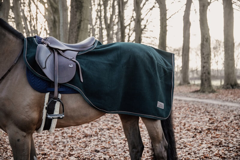 Pferd mit Kentucky Ausreitdecke