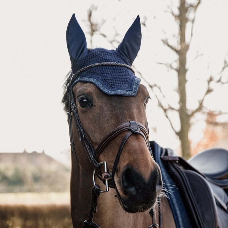 Pferd mit Kentucky Fliegenhaube