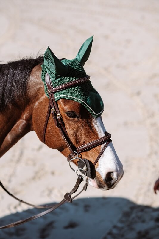 Pferd mit Kentucky Fliegenhaube