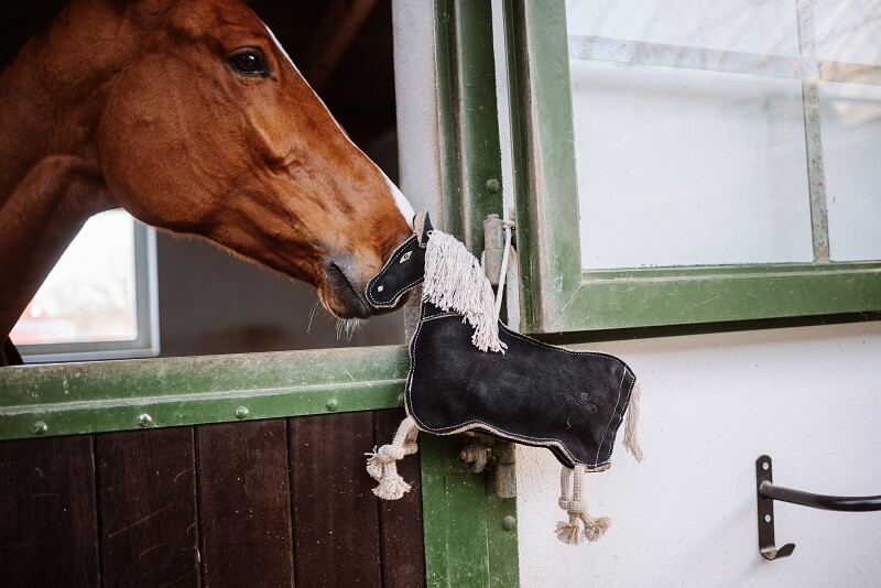 Kentucky Horse Toy Pony Pferd schnuppert an Pferdespielzeug