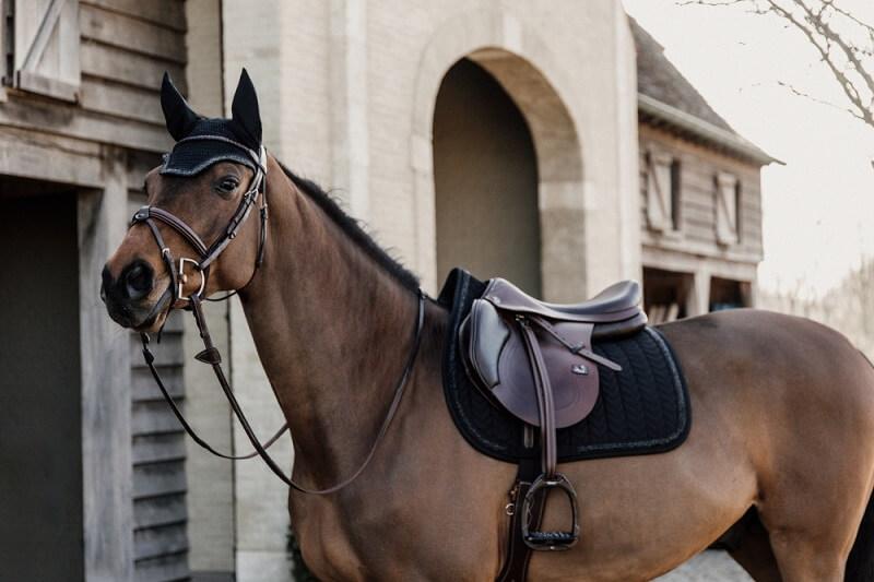 Pferd mit Kentucky Schabracke und Fliegenhaube