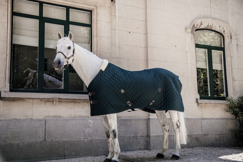 Pferd mit Kentucky Stalldecke