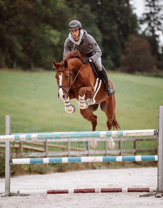 Reiter mit Pferd über Sprung