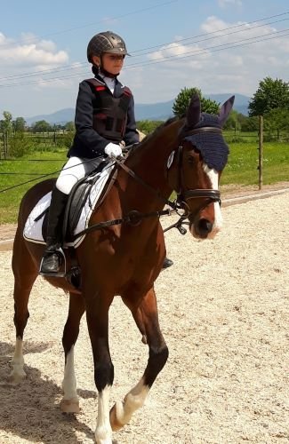 Mädchen reitet Pony mit Ausbinder Zügel