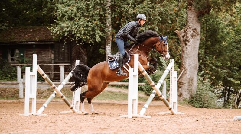 Springreiten In Out Reiter springt In-Out