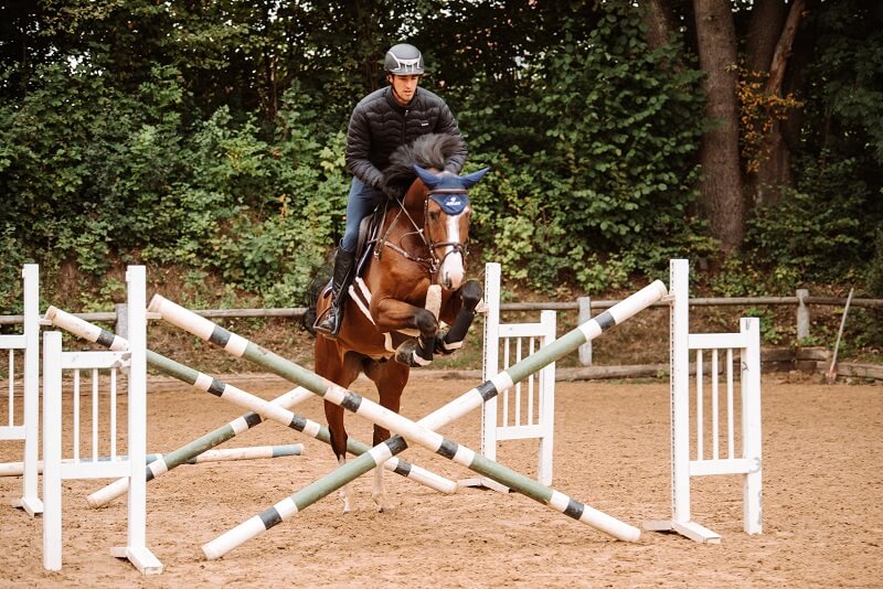 Pferd Springgymnastik Reiter macht Springgymnastik mit Pferd