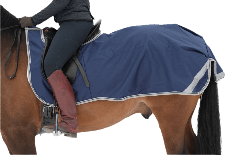 Reflektierende Ausreitdecke Pferd mit Ausreitdecke