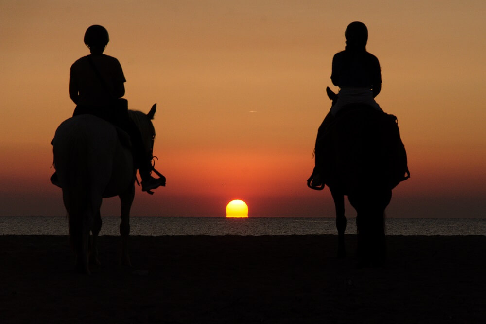 Zwei Reiter im Sonnenuntergang