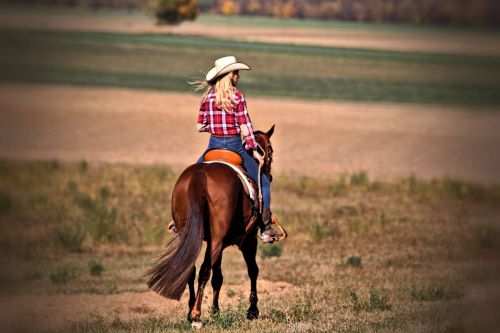 Cowgirl reitet Pferd auf Wiese