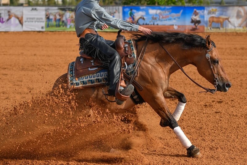 Westernreiten Sliding Stop