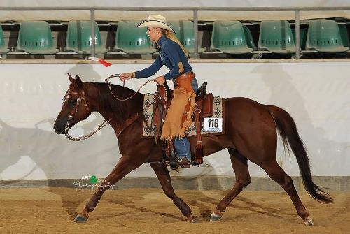 Manöver Westernreiten