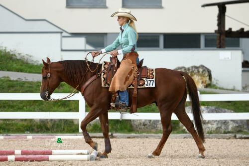 Frau beim Westernreiten