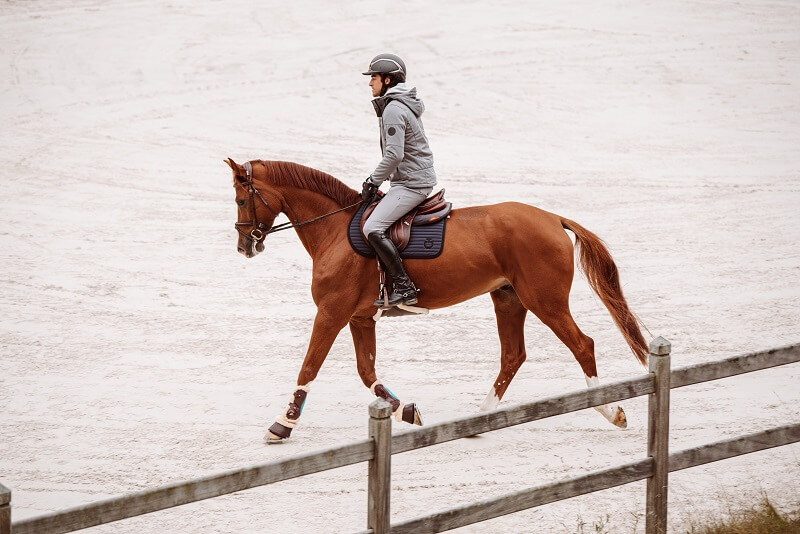 Reiter trabt Pferd auf Reitplatz