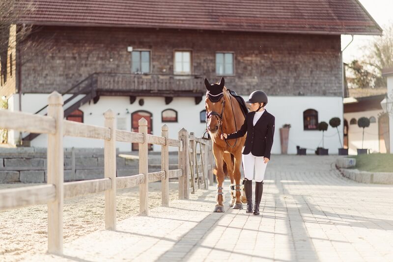 Ausgleichssport Reiter Reiterin führt Pferd im Turnieroutfit