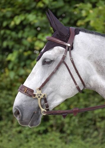 Weißes Pferd mit Hackamore