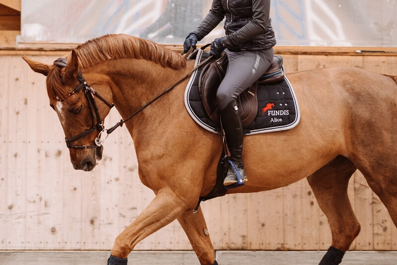 Pferd Anlehnung Frau reitet Pferd